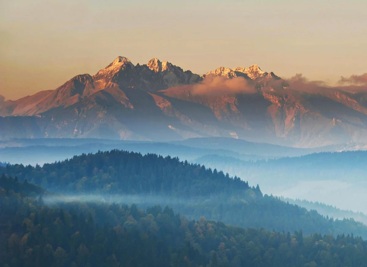 Wspaniały sposób na to jak budować altanki