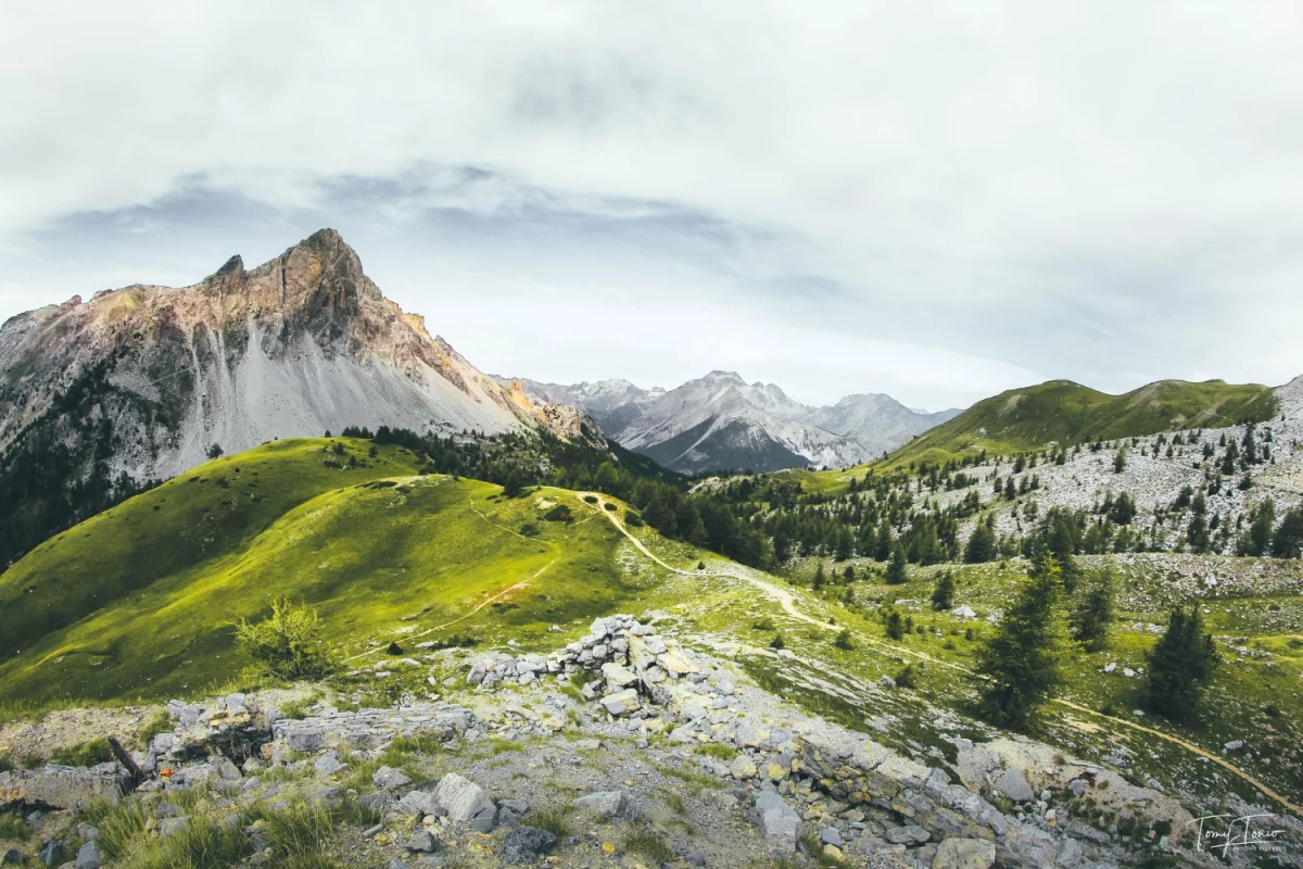 Nowe podejście w 2025 jak  odnowić boazerię