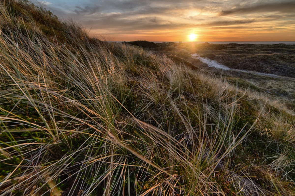 Czy masz możliwość założyć firmę?